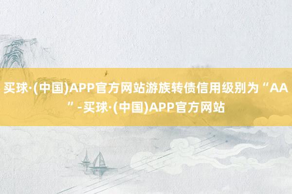 买球·(中国)APP官方网站游族转债信用级别为“AA”-买球·(中国)APP官方网站