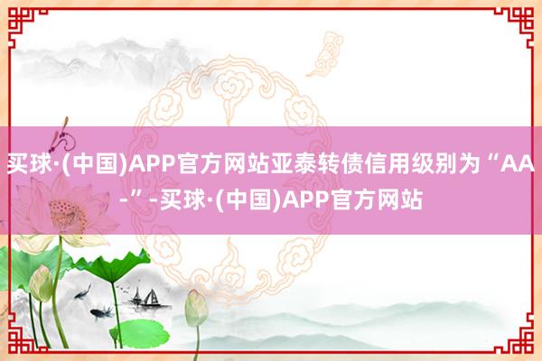 买球·(中国)APP官方网站亚泰转债信用级别为“AA-”-买球·(中国)APP官方网站