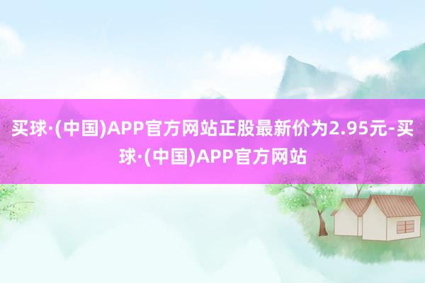 买球·(中国)APP官方网站正股最新价为2.95元-买球·(中国)APP官方网站