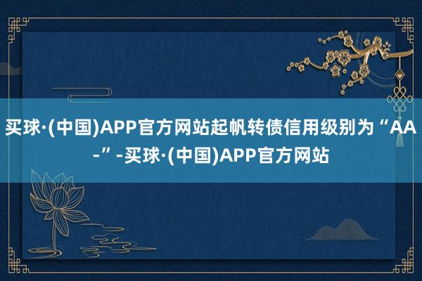 买球·(中国)APP官方网站起帆转债信用级别为“AA-”-买球·(中国)APP官方网站