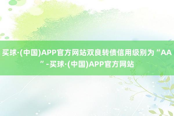 买球·(中国)APP官方网站双良转债信用级别为“AA”-买球·(中国)APP官方网站