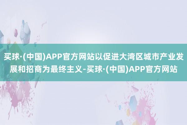 买球·(中国)APP官方网站以促进大湾区城市产业发展和招商为最终主义-买球·(中国)APP官方网站