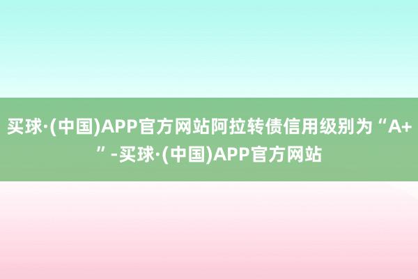 买球·(中国)APP官方网站阿拉转债信用级别为“A+”-买球·(中国)APP官方网站