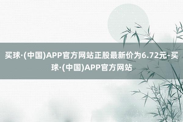 买球·(中国)APP官方网站正股最新价为6.72元-买球·(中国)APP官方网站