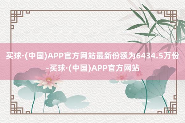 买球·(中国)APP官方网站最新份额为6434.5万份-买球·(中国)APP官方网站