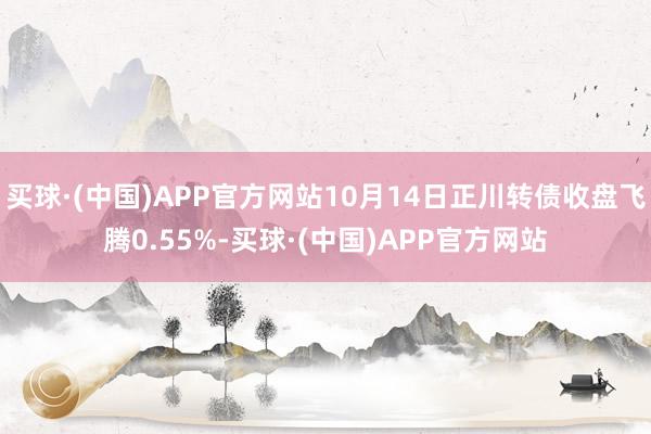 买球·(中国)APP官方网站10月14日正川转债收盘飞腾0.55%-买球·(中国)APP官方网站