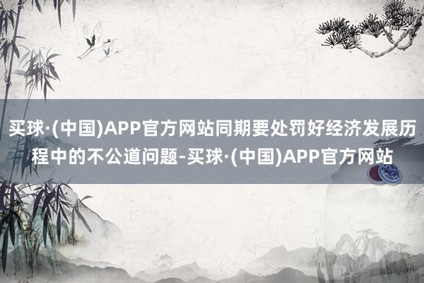 买球·(中国)APP官方网站同期要处罚好经济发展历程中的不公道问题-买球·(中国)APP官方网站