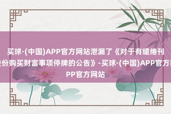 买球·(中国)APP官方网站泄漏了《对于有缱绻刊行股份购买财富事项停牌的公告》-买球·(中国)APP官方网站