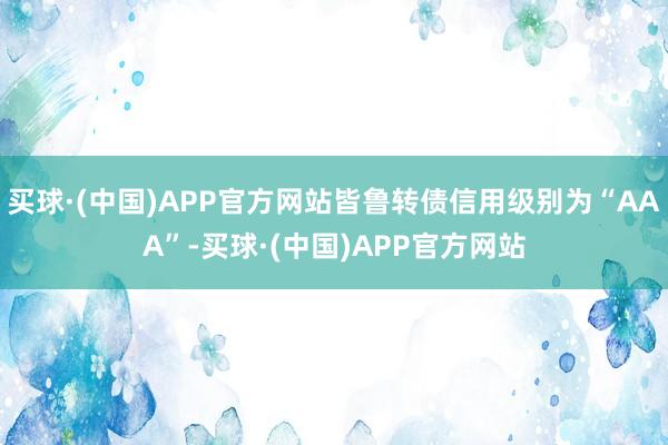 买球·(中国)APP官方网站皆鲁转债信用级别为“AAA”-买球·(中国)APP官方网站