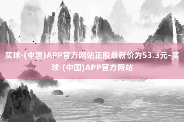 买球·(中国)APP官方网站正股最新价为53.3元-买球·(中国)APP官方网站