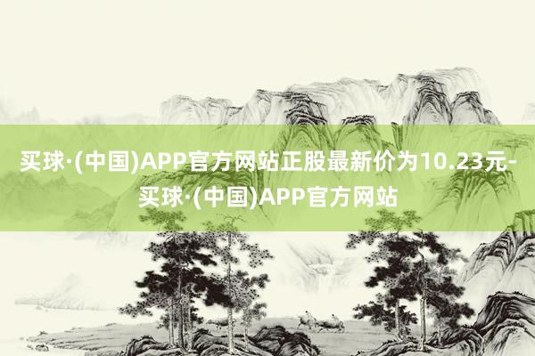 买球·(中国)APP官方网站正股最新价为10.23元-买球·(中国)APP官方网站