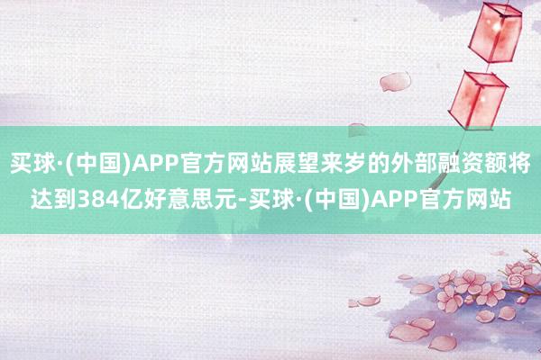 买球·(中国)APP官方网站展望来岁的外部融资额将达到384亿好意思元-买球·(中国)APP官方网站