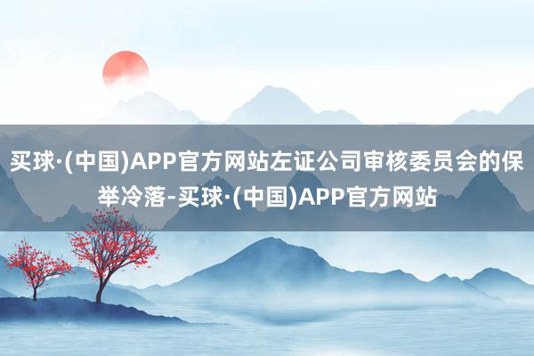 买球·(中国)APP官方网站左证公司审核委员会的保举冷落-买球·(中国)APP官方网站