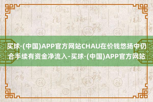 买球·(中国)APP官方网站CHAU在价钱悠扬中仍合手续有资金净流入-买球·(中国)APP官方网站