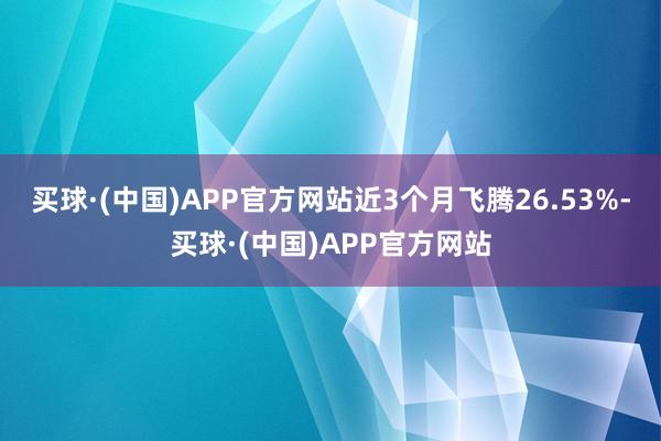 买球·(中国)APP官方网站近3个月飞腾26.53%-买球·(中国)APP官方网站