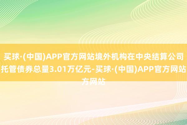 买球·(中国)APP官方网站境外机构在中央结算公司托管债券总量3.01万亿元-买球·(中国)APP官方网站