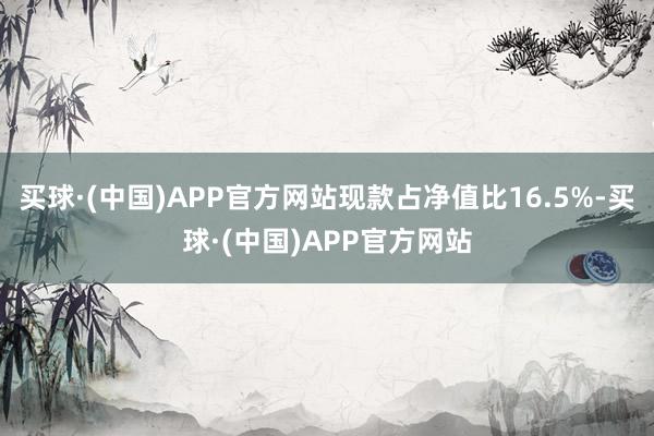 买球·(中国)APP官方网站现款占净值比16.5%-买球·(中国)APP官方网站