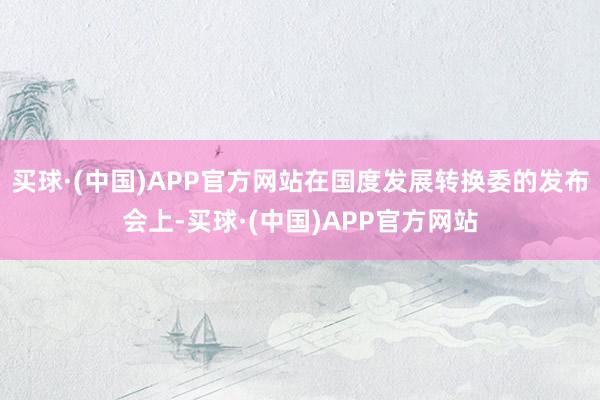 买球·(中国)APP官方网站在国度发展转换委的发布会上-买球·(中国)APP官方网站