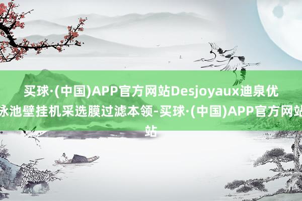 买球·(中国)APP官方网站Desjoyaux迪泉优泳池壁挂机采选膜过滤本领-买球·(中国)APP官方网站