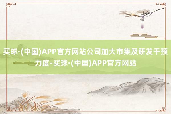 买球·(中国)APP官方网站公司加大市集及研发干预力度-买球·(中国)APP官方网站