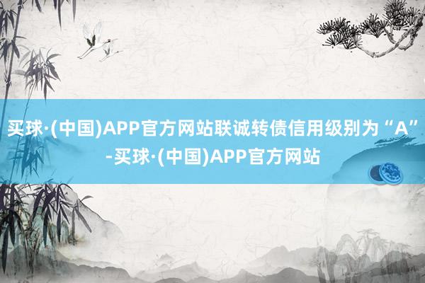 买球·(中国)APP官方网站联诚转债信用级别为“A”-买球·(中国)APP官方网站