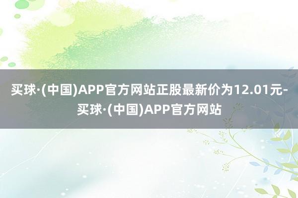 买球·(中国)APP官方网站正股最新价为12.01元-买球·(中国)APP官方网站