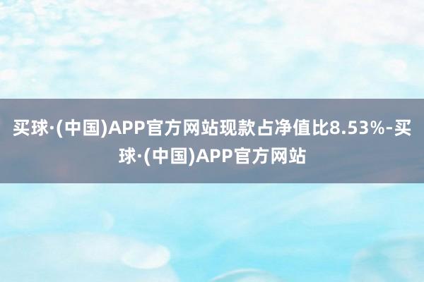 买球·(中国)APP官方网站现款占净值比8.53%-买球·(中国)APP官方网站