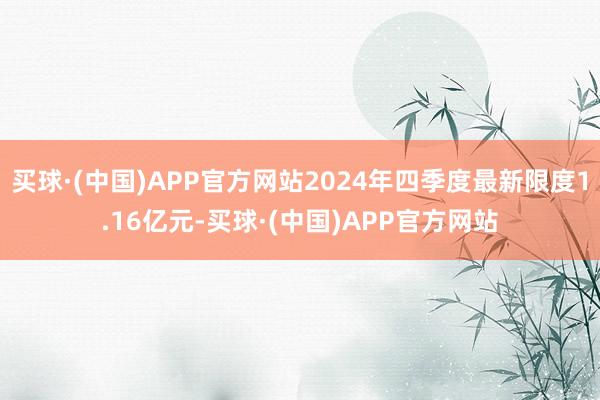 买球·(中国)APP官方网站2024年四季度最新限度1.16亿元-买球·(中国)APP官方网站